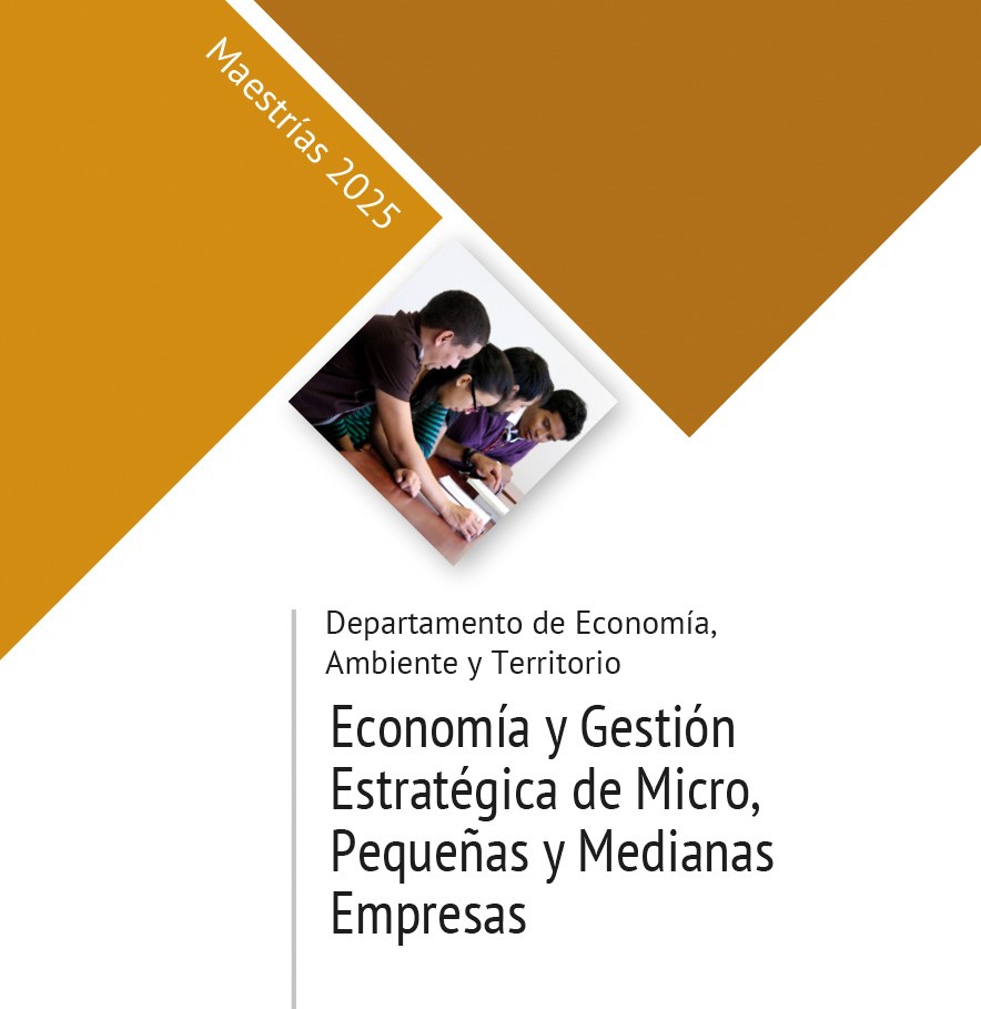 Maestría en Economía y Gestión Estratégica de Micro, Pequeñas y Medianas Empresas