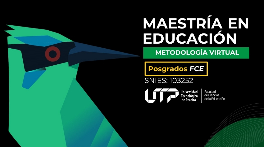Maestría en Educación, Metodología Virtual